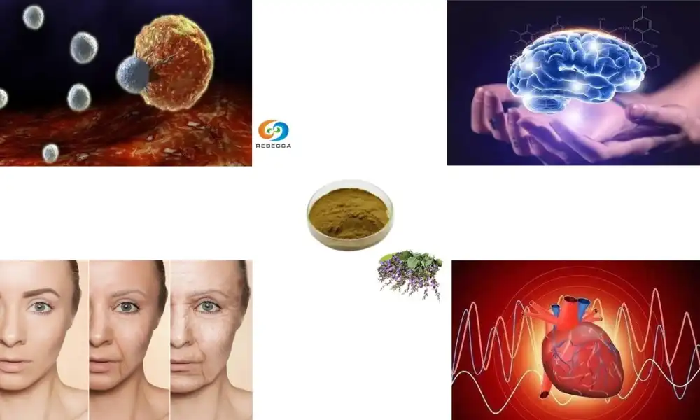 How Acid Carnosic Works as a Potent Antioxidant?
